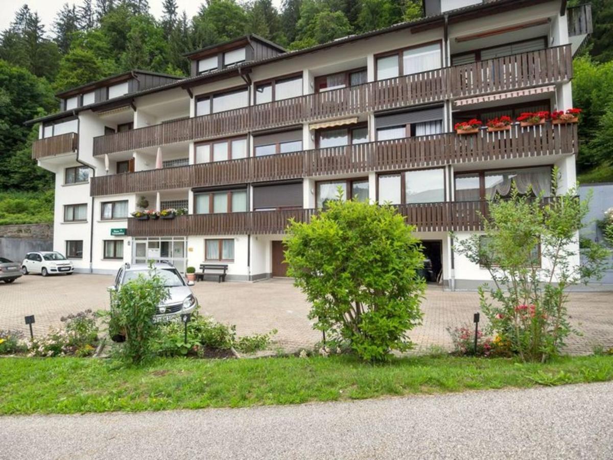 Gib Mir Funf! Ferienwohnung In St. Blasien Exterior photo