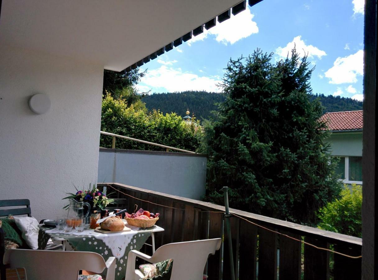 Gib Mir Funf! Ferienwohnung In St. Blasien Exterior photo